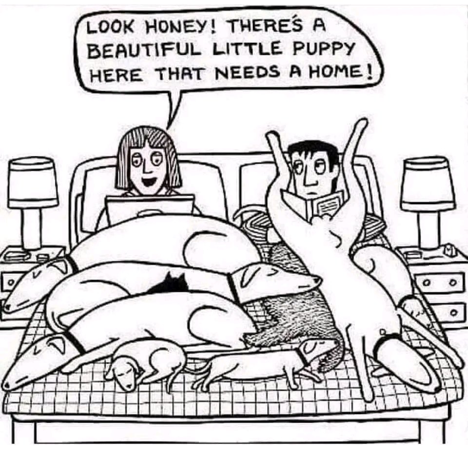 Taah Yuji tweet media