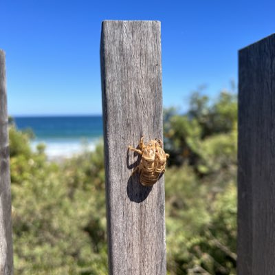 michaelchetner's tweet photo. #NewProfilePic https://t.co/1GJUmrvLWn