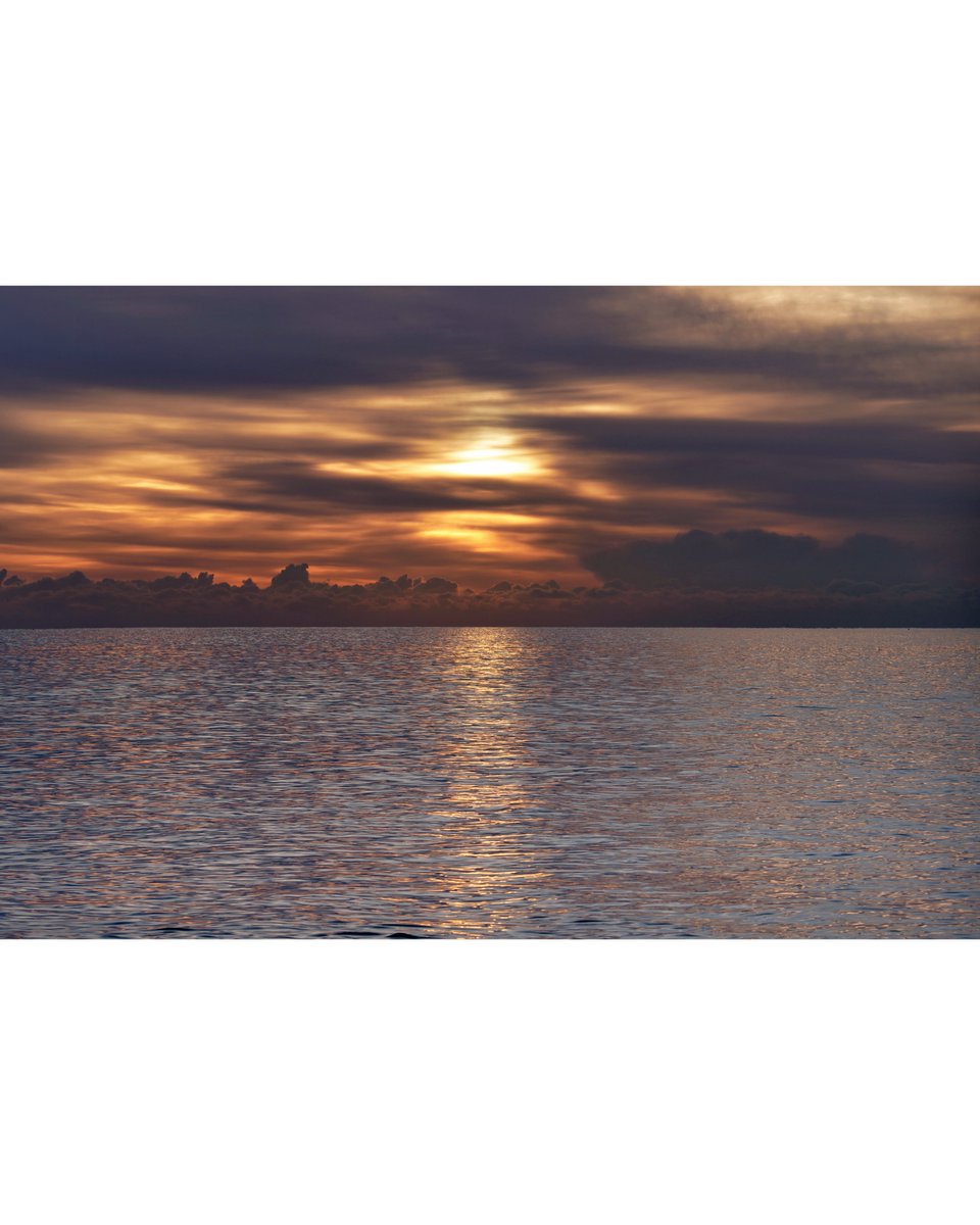 Winter sunrise

@southsea
#sunrise #horizon #distance #cloudappreciationsociety #naturalcolour #clear #winter #cold #sublime #south #early #southsea

instagram.com/p/CnoUPKFjDk3/…
