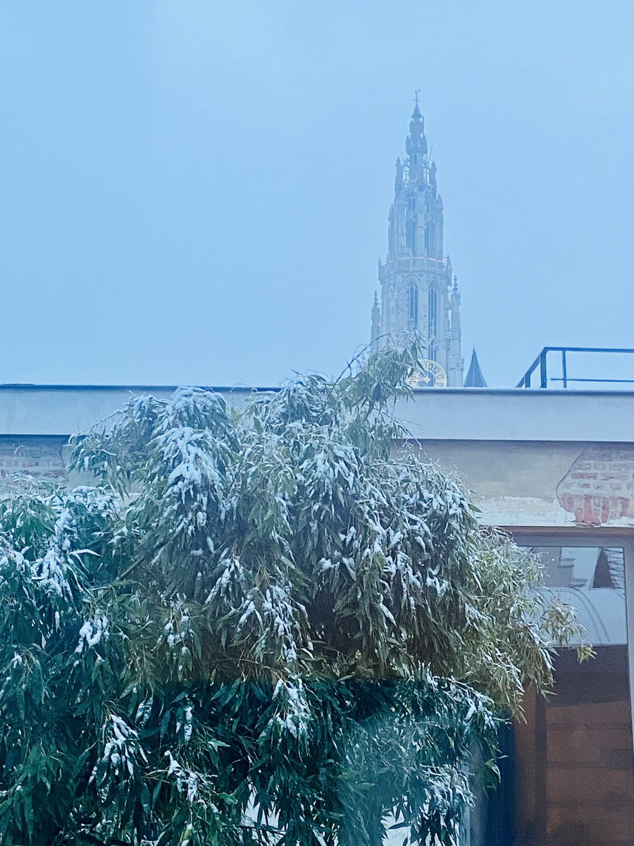 bartdecl's tweet photo. Sneeuw… Niet leuk als je er door moet maar wel mooi als je op kantoor aankomt @CFcommunicatie in hartje #Antwerpen #Eiermarkt
Het zicht op de kathedraal is altijd weer anders… https://t.co/PBh73FhPAG