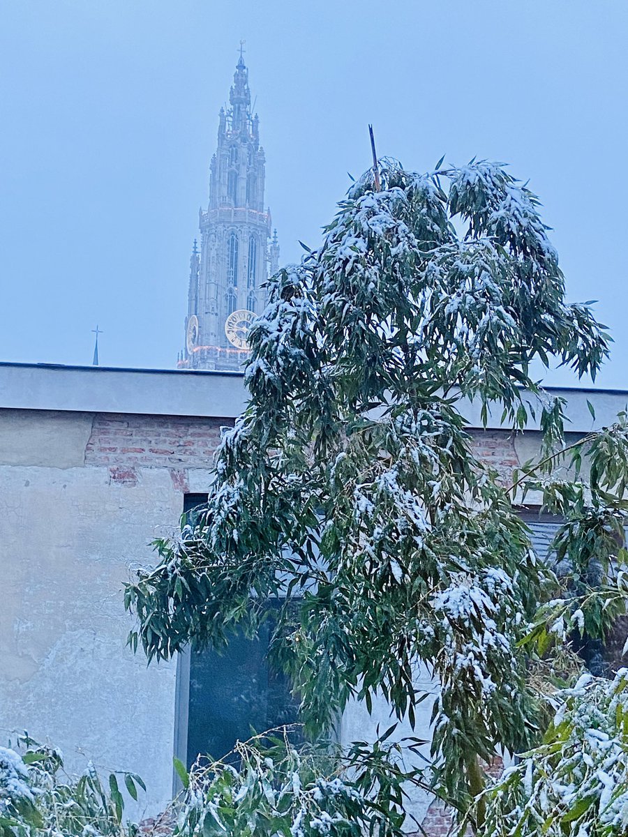 bartdecl's tweet photo. Sneeuw… Niet leuk als je er door moet maar wel mooi als je op kantoor aankomt @CFcommunicatie in hartje #Antwerpen #Eiermarkt
Het zicht op de kathedraal is altijd weer anders… https://t.co/PBh73FhPAG