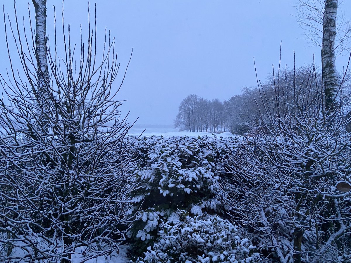 Winter-re in Brrrrabant