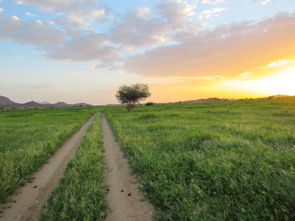 LatifIdrissa's tweet photo. Quelque part à Iferouane, septembre, Agadez, Niger 🇳🇪 https://t.co/wHb3o9GGCt