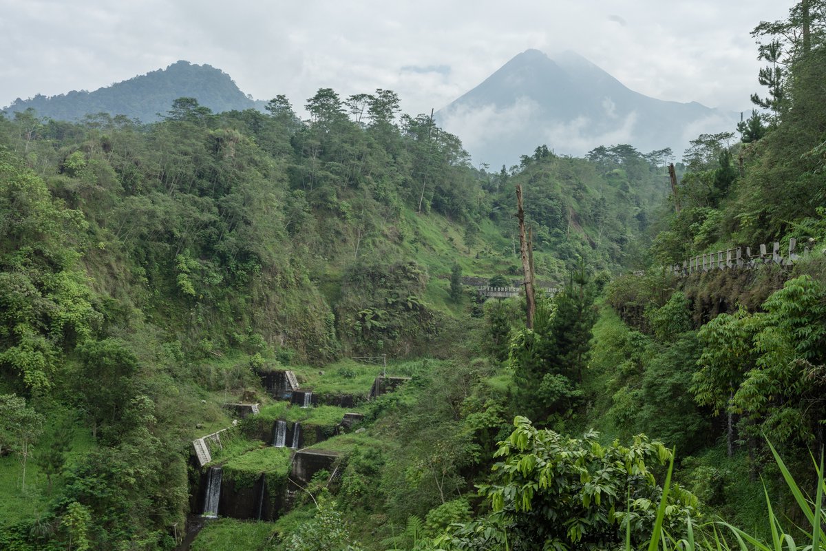 Wego Indonesia tweet media