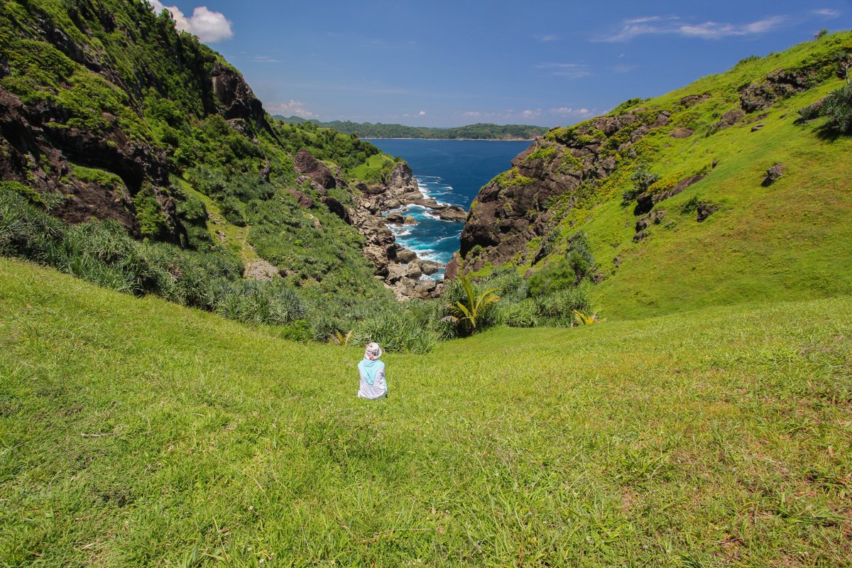 Wego Indonesia tweet media