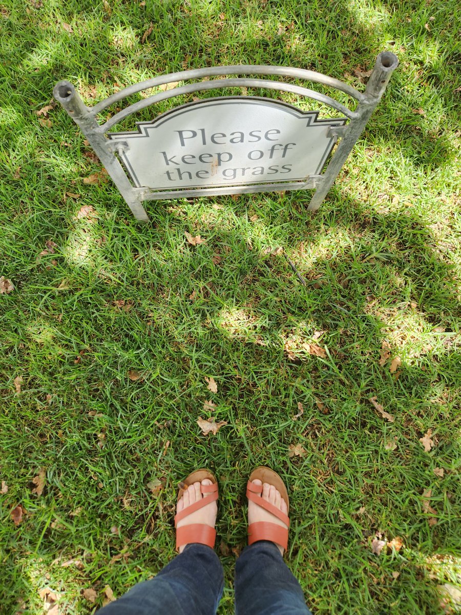 Henrietta Rose-Innes tweet media