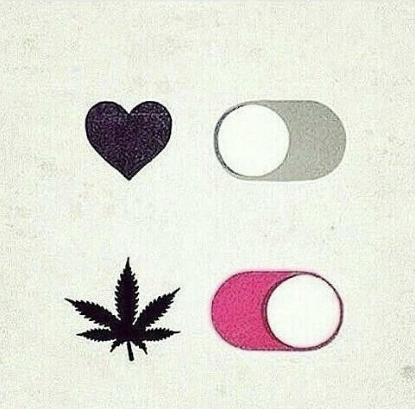 Mr_Green_Finger's tweet photo. #StonerFam #WeedLife #Mmemberville https://t.co/MuVlGEMK6r
