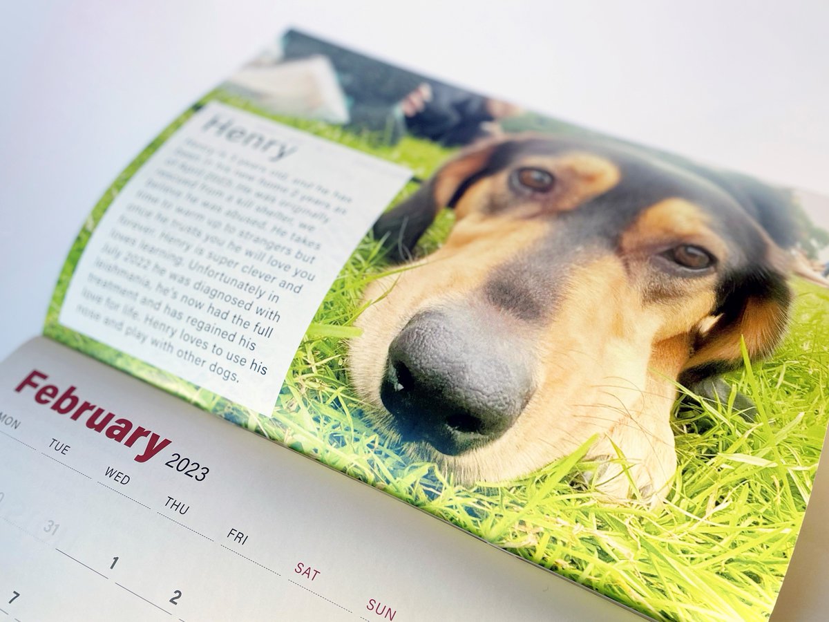 ellisonprinting's tweet photo. A charity rang us as they had been let down by another company. They paid a deposit but then got no response to messages. Could we help? Were we happy to help? Of course we could help and, yes, we were delighted to. 

If we say we'll do it, we DO IT!

Happy customer = happy us 😍 https://t.co/90WLdoTVKh