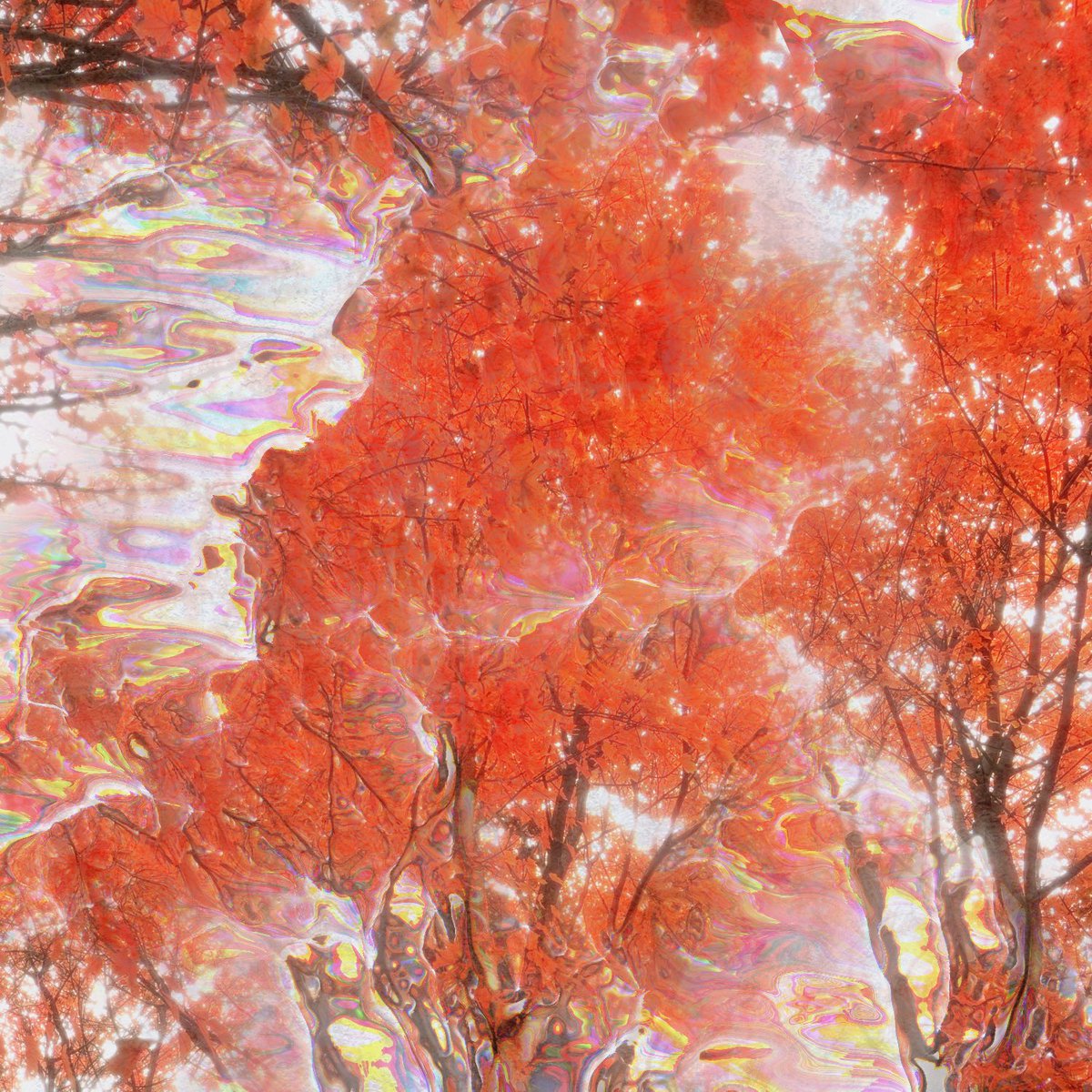 We're back. 3 new songs out next friday, tap the pre-save in our bio