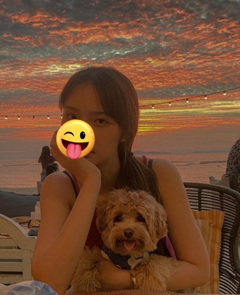 Desi06680955's tweet photo. lebih suka mana?
Me or  🐕 https://t.co/7HrNhqSJw0