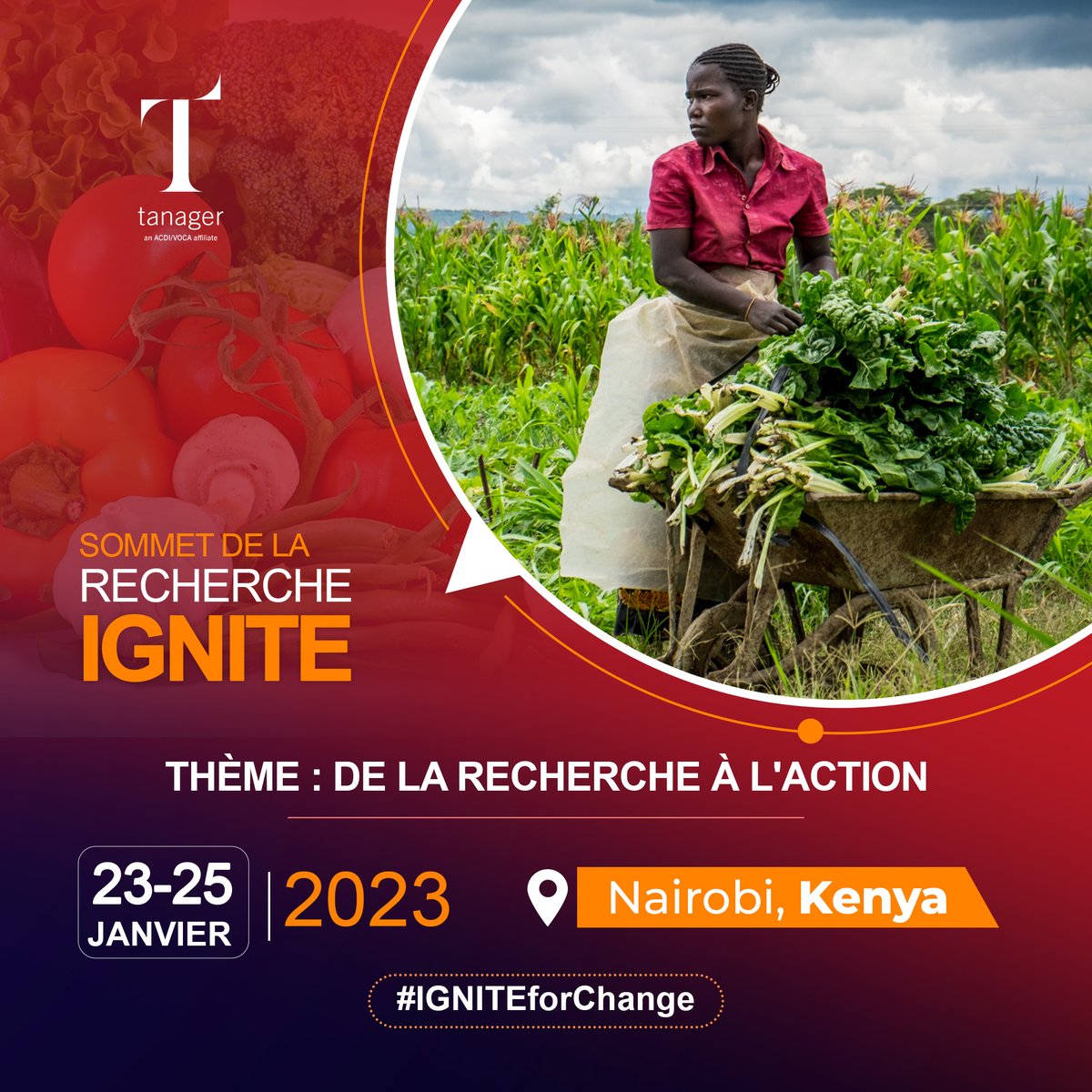 nawsheenh's tweet photo. Le sommet de la recherche IGNITE fournira une plate-forme pour démontrer comment les résultats de la recherche ont été utilisés pour comprendre le lien entre le #genre, la #nutrition et l'#agriculture pour concevoir et améliorer des programmes.

Suivez ➡️ #IGNITEforChange https://t.co/M71qDYgzDA