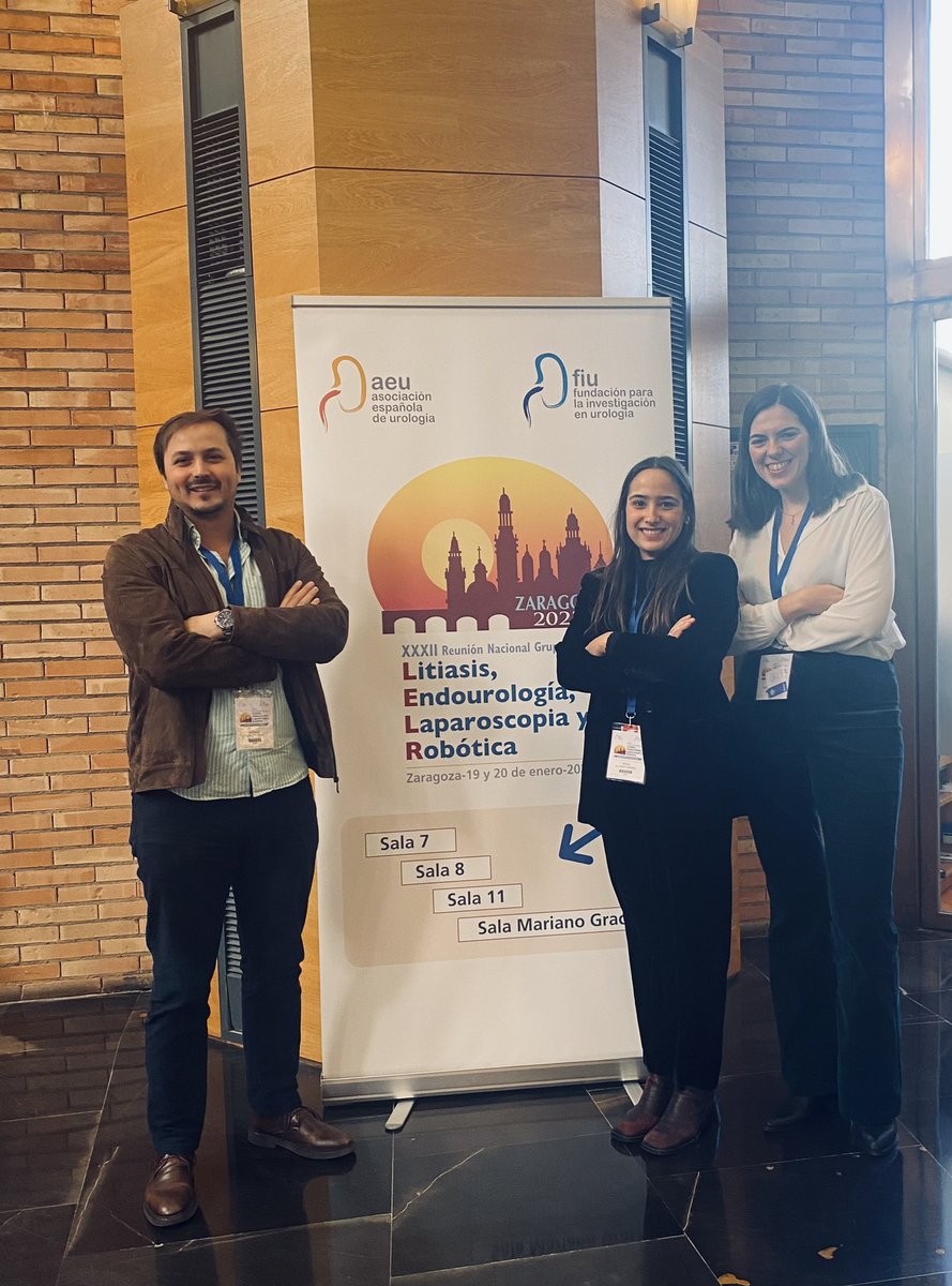 Ralvarezcordero's tweet image. Asistencia a #LELR en #Zaragoza de la unidad de litiasis del @hujuanramon @ALeonSalas @aliciagfer