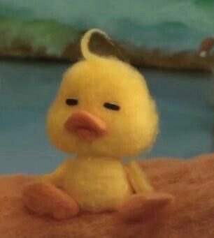 น้งโชเป็ดทั้งหมด