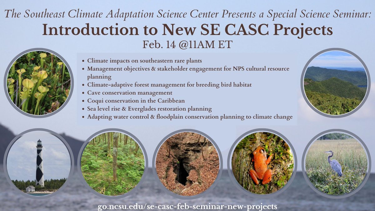 🗓️ Tuesday Feb. 14, 11am ET: Join <a href="/se_casc/">Southeast CASC</a> researchers for a Special Science Seminar as they introduce seven new SE CASC projects! 

⚡️These lightning talks will highlight work to support resource management across the SE. 

Learn more &amp; register 👉 go.ncsu.edu/se-casc-feb-se…