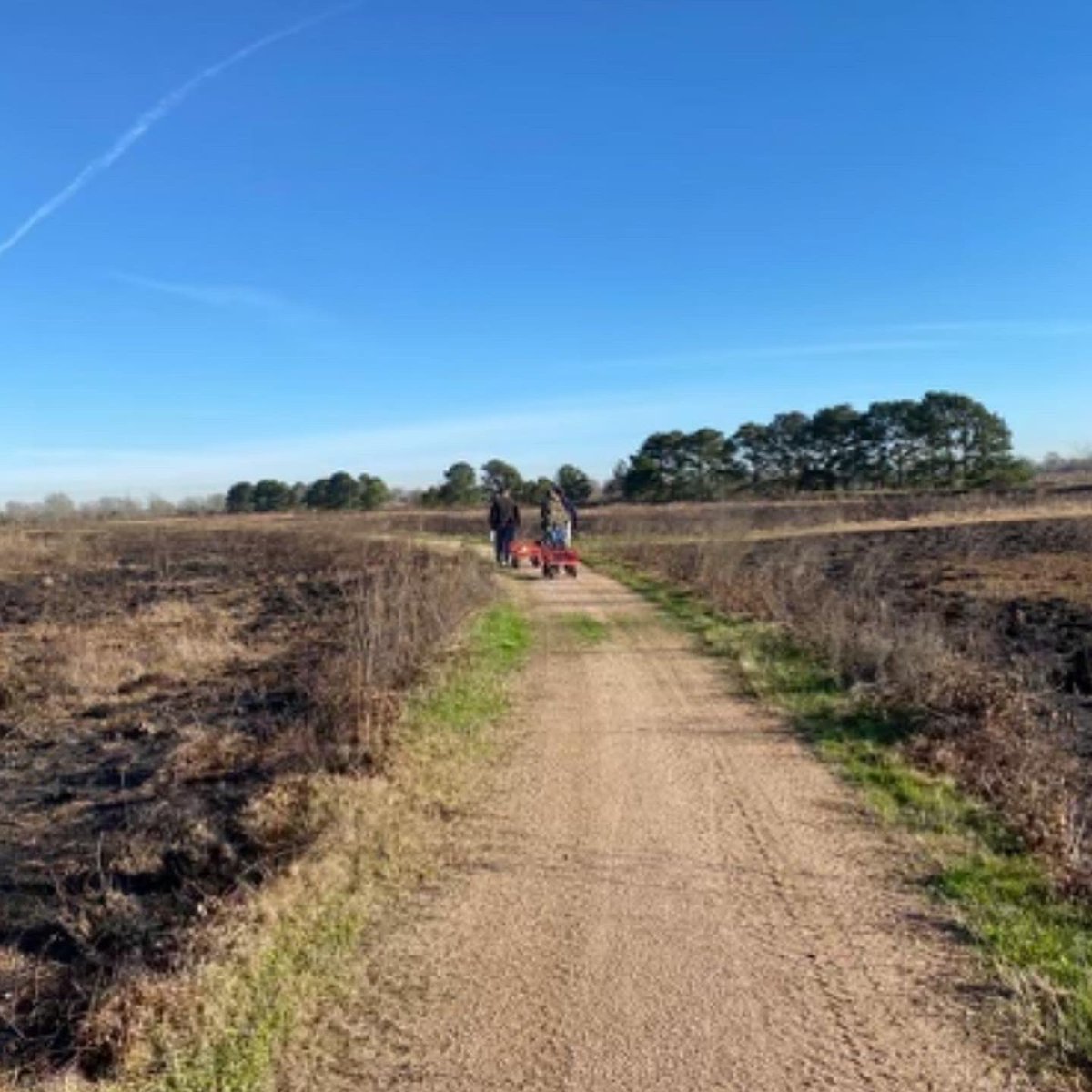 fbgsa's tweet photo. this past weekend, our academy students worked with the Katy Prairie Conservancy + the Chevron Houston Marathon to tidy up the preserve and uplift runners, respectively. so proud of our proactive students 🫂 https://t.co/v0DiZBv41f