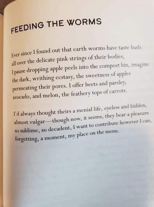 david bloom tweet media