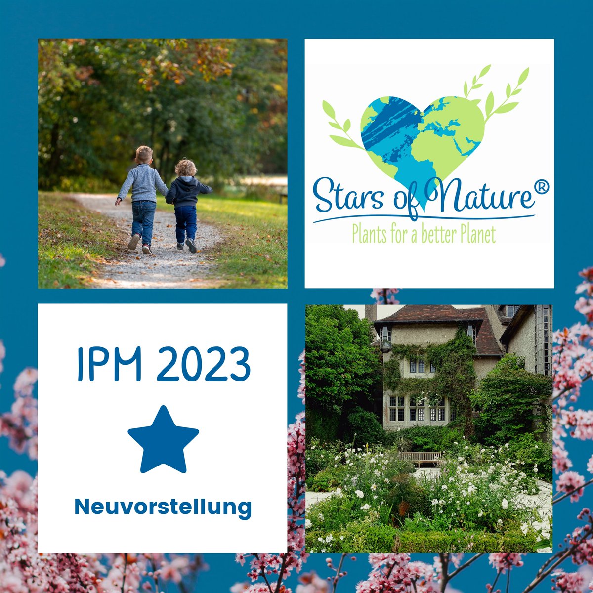 helmers_wst's tweet image. Bald ist es soweit - am Dienstag den 24. Januar 2023 startet die Internationale Pflanzenmesse in Essen (kurz IPM)! Sie finden uns in Halle 7, Stand 7F15. #ipmessen #ipmessen2023 #wirsindipmessen #helmersbaumschulen