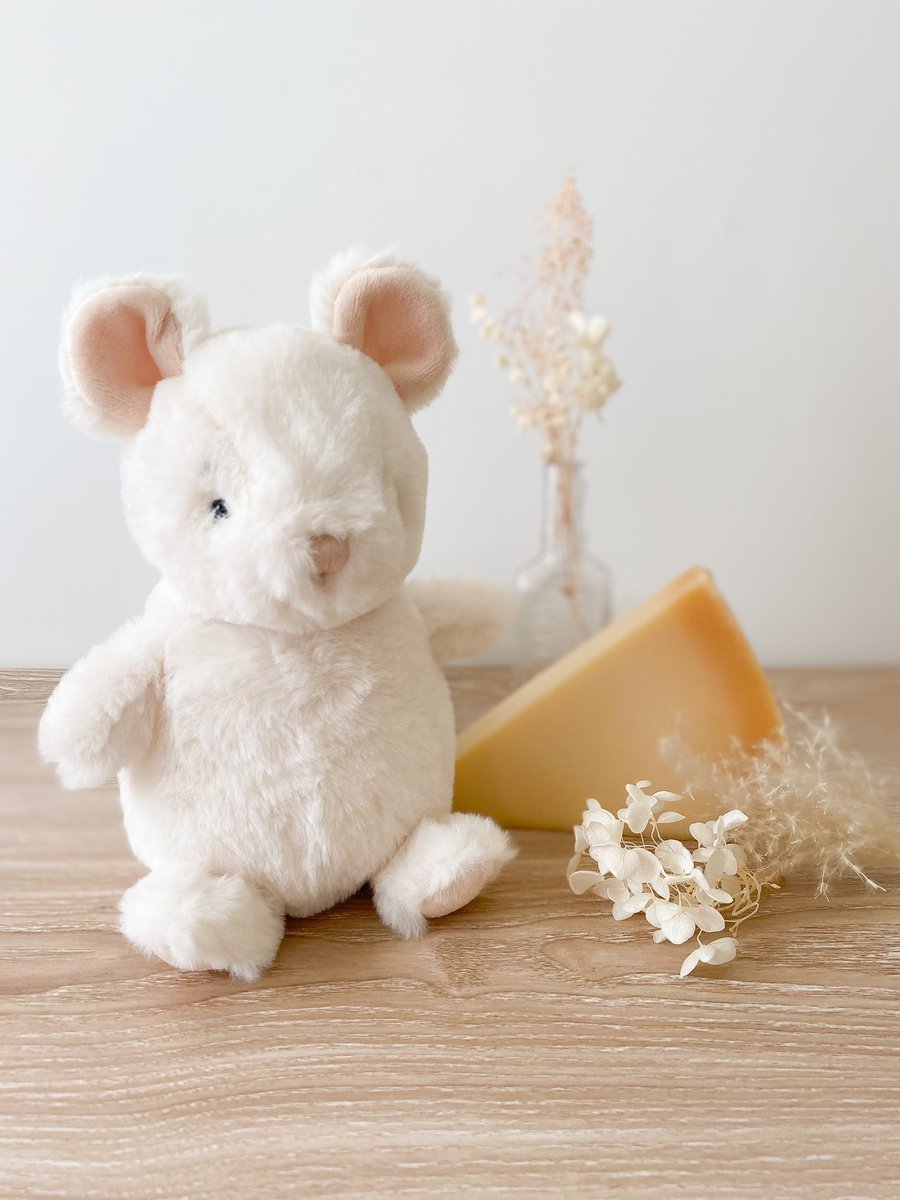 It’s Nibbles favorite day…National Cheese 🤍er’s Day! 🐭🧀 #lovemami #mouse #mouseears #cheese #CheeseLoversDay