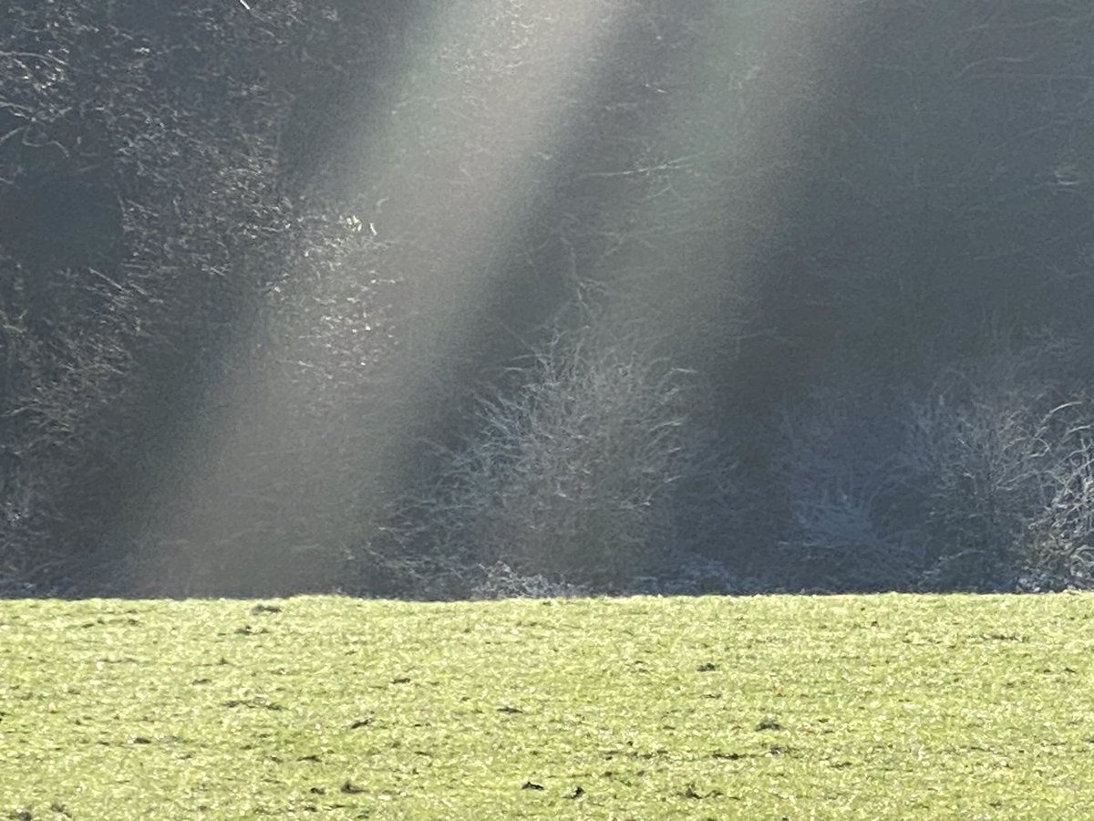 michael_fairfax's tweet photo. Winter scenes smoke rising from my studios wood burner https://t.co/xH0FMm102L