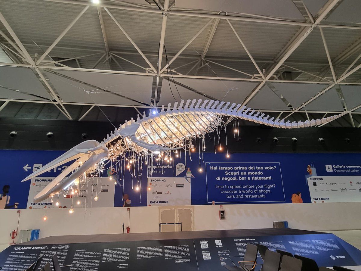 socialmiliac's tweet photo. #Arte, per chi parte dall'aeroporto di #Fiumicino, una bellissima opera da ammirare: la balena di #Marcantonio, denominata “#GrandeAnima”, illuminerà la piazza dell’area d’imbarco A di @AeroportidiRoma https://t.co/BShQkLNfTM