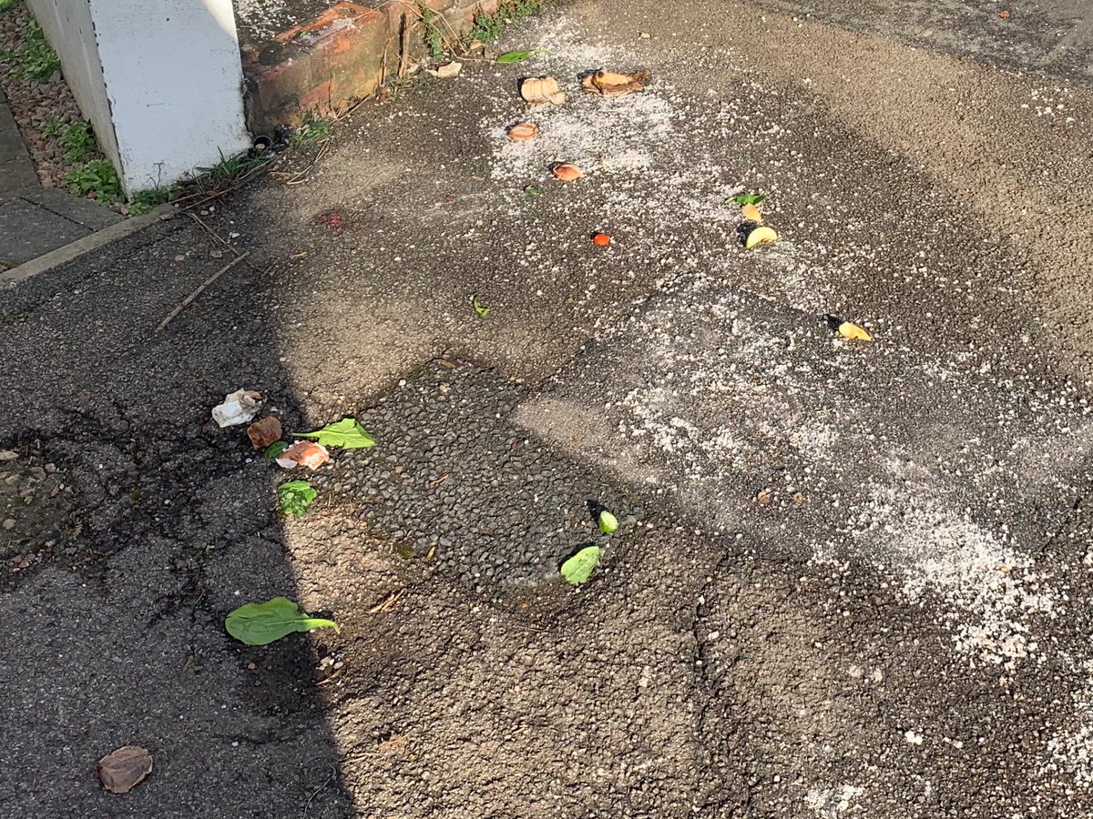 traindude_p's tweet photo. @reigatebanstead 
Refuse collection fail! Your colleague dropped it all over the pavement outside my house and shouted “FUCKING HELL” before walking away. You going to explain this to my 3yo? https://t.co/bxmn3eAmRC