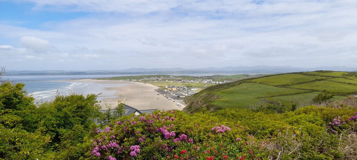 geranne1's tweet photo. @poloconghaile #LoveDonegal https://t.co/YoJ1raYiF6