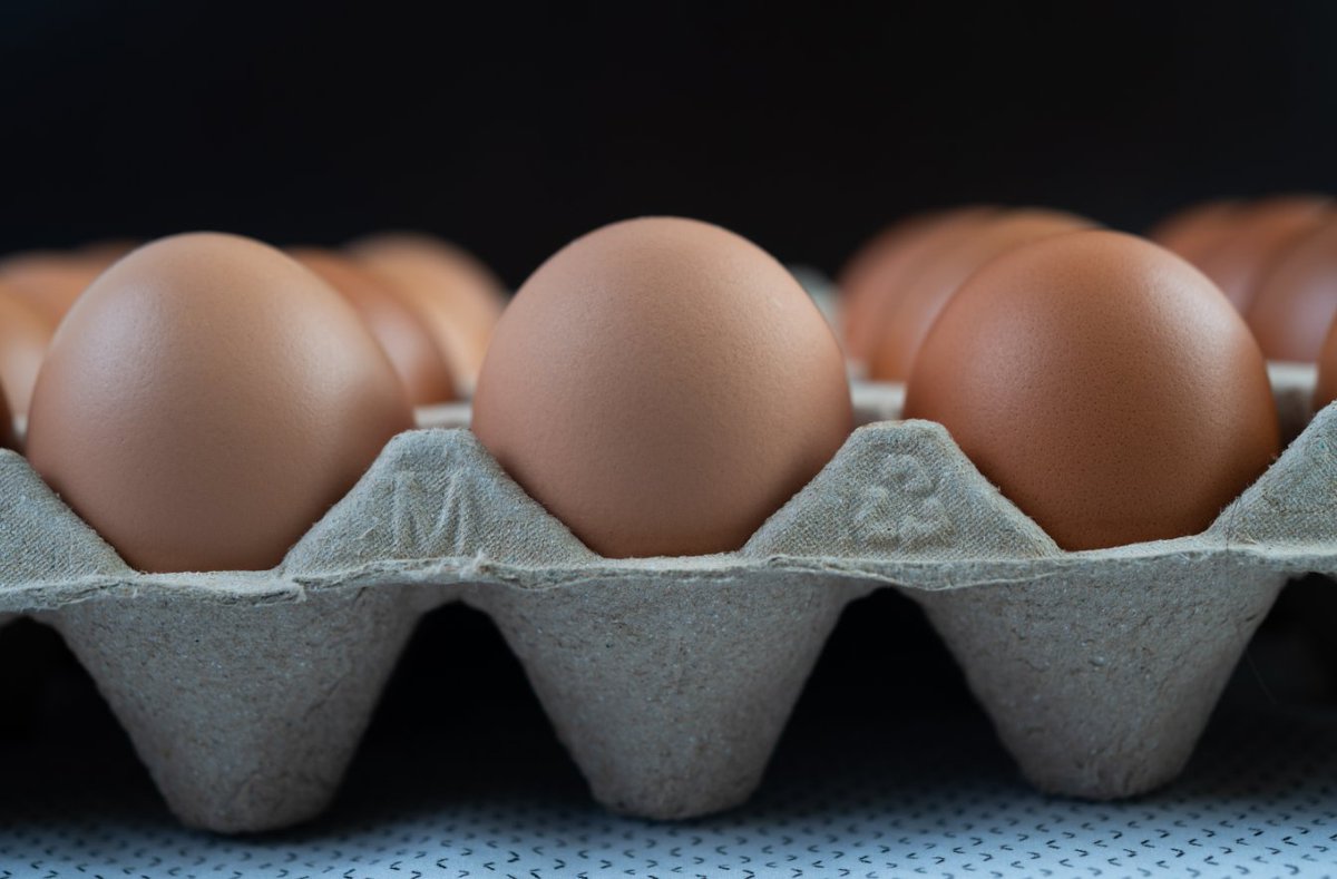 ShipsSolutions's tweet photo. Have you noticed the price of eggs? Combined, the avian flu and other rising costs have created scenes of empty shelves at grocery stores across the country, from Colorado to New York. Read more about the situation at:  https://t.co/gLfXJ4sSeV. https://t.co/gehjeP3F7d