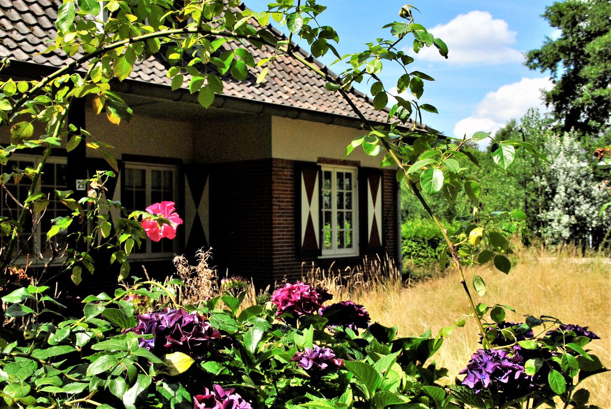 't Vaneker tweet media