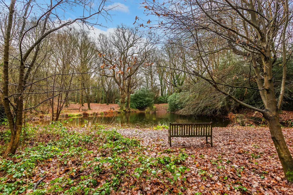 Such an amazing woodland area at the bottom of the garden at the Knightbridge Close bungalow.  (The property has access to the wonderful private residents park of approximately 9.5 acres.) #tunbridgwells

buff.ly/3ZLsoJc