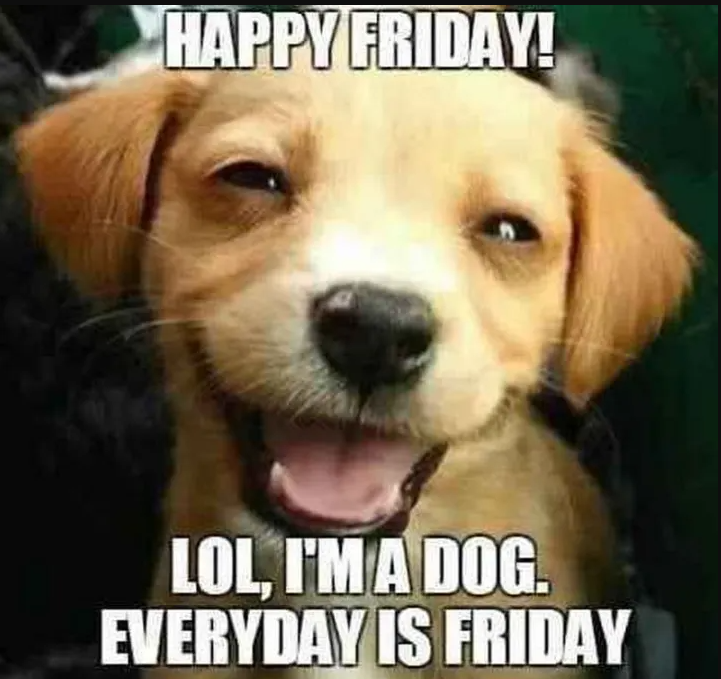 Happy FRI-YAY!! 🎉
Have a great weekend!😊