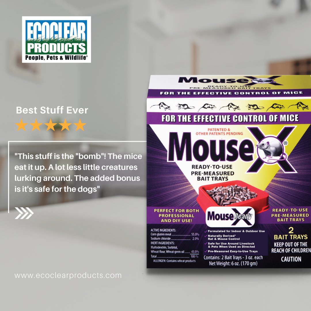 We offer several safe and effective products to solve your mouse infestation fast, like these easy-to-use MouseX® Ready Trays. 

But don't just take our word for it; check out our reviews!