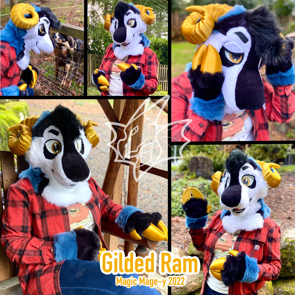 MagicMagey's tweet image. Hello and happy #FursuitFriday!! 💙

I have this ram mini-partial (head, handhooves, and tail) looking for a home!! 💙

Details are in the 🧵 below!! ⬇️

Design for this ram was made by my friend, the amazing @StargazingShep!! 💙