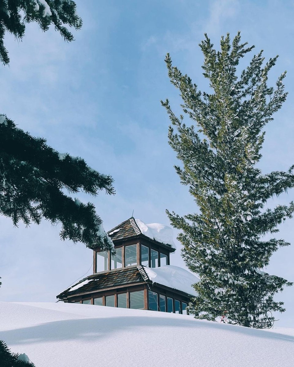 Manningpark's tweet image. There&apos;s nothing quite like the serene beauty of a winter&apos;s hike...🤍 Trees draped in fresh snow, the crunch of powder beneath your feet, and crisp winter air. Nature is truly the best therapy!

📸 @slimmshayniee

#manningpark #windyjoe #winterhike #snowshoeing
