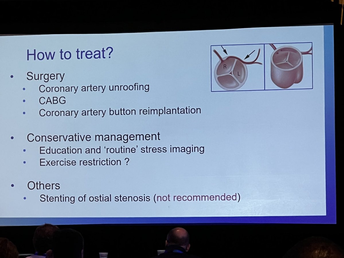 Dr. Alexander Egbe-expert on the tricky topic of coronary artery anomalies, who goes to the OR? #cardiovallarta @drpaulfriedman @DrLopezJimenez @MayoEPFellows