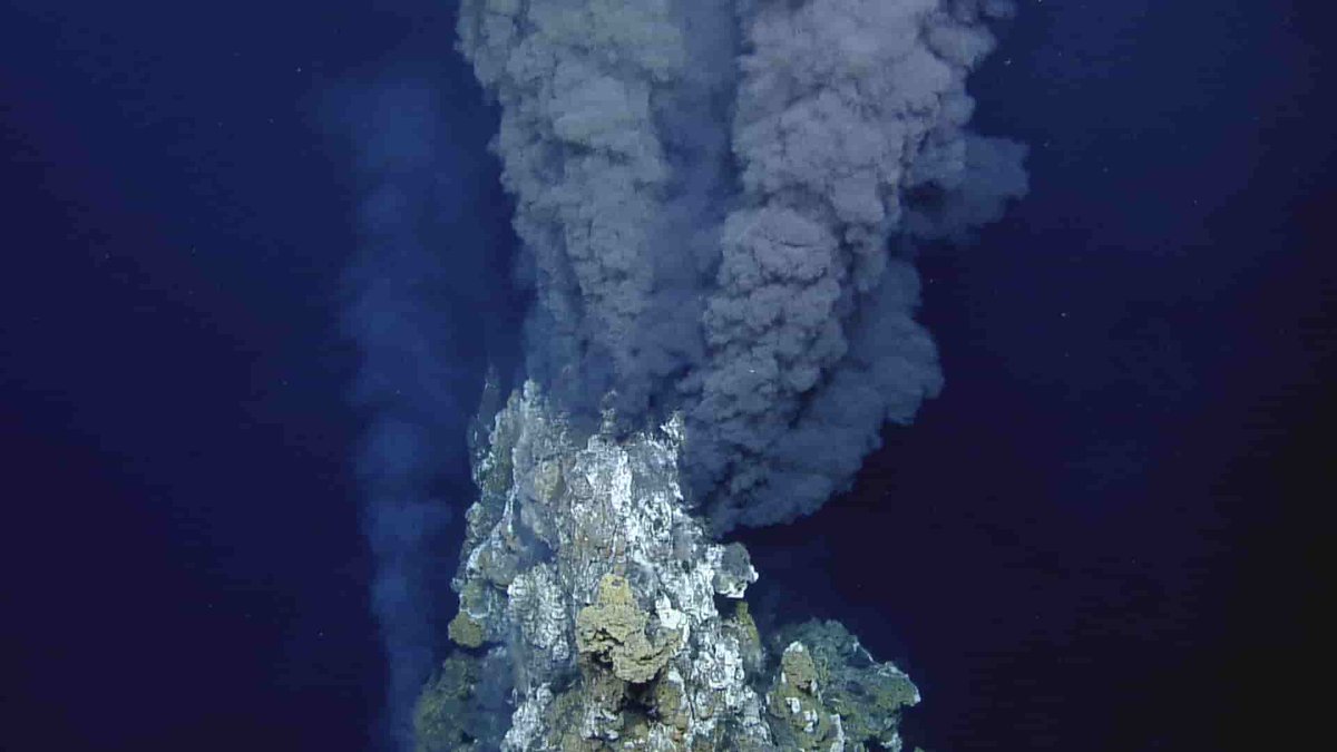 History_Earth_'s tweet photo. In fissures believed to be traces of hydrothermal vents strange iron &amp; carbon concretions can be found. The remains of microbes? The first lifeforms? 🌋🦠
📷 Babcock (2009): Visualizing Earth History/Wikipedia/O'NEIL et al. (2008):Hadean Mafic Crust https://t.co/2p1JNTFkff