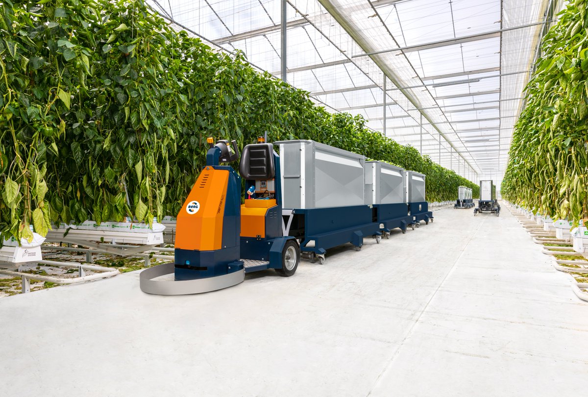 Would you like to know which type of BeMotion Harvest &amp; transportation machine is suitable for your company? Please visit our website: berghortimotive.com/en/harvest-a-t…

#bemotion #harvestandtransportation #futureproof #logisticsolutions #efficiency #horticulture #berghortimotive
