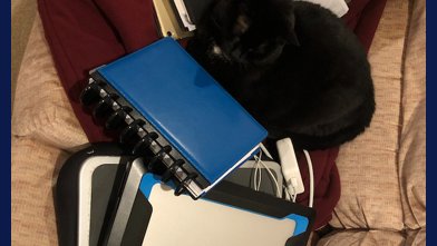 shakeuphistory's tweet photo. Friday Fun We’re having work done on the room next to my office, so I thought I’d set up a little temp office downstairs to get away from the noise. Someone was not amused I was in her space. #homeofficecat https://t.co/omtgrW3r3b