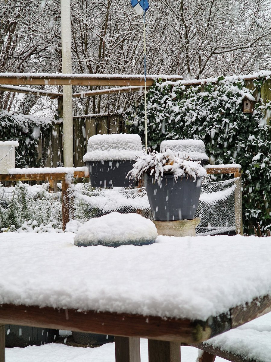 huffeltje's tweet photo. #Sneeuw! En het zpu vooral oost en zuid zijn maar hier bij Amsterdam draait er toch echt wat neer!๐ฅฐ #winter #randstad #wittetuin https://t.co/7YMoPVxX9w