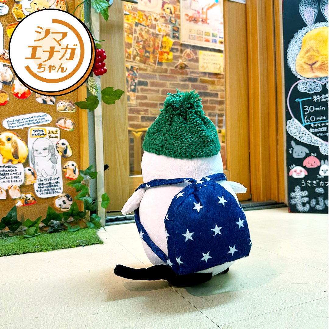 シマエナガの日常