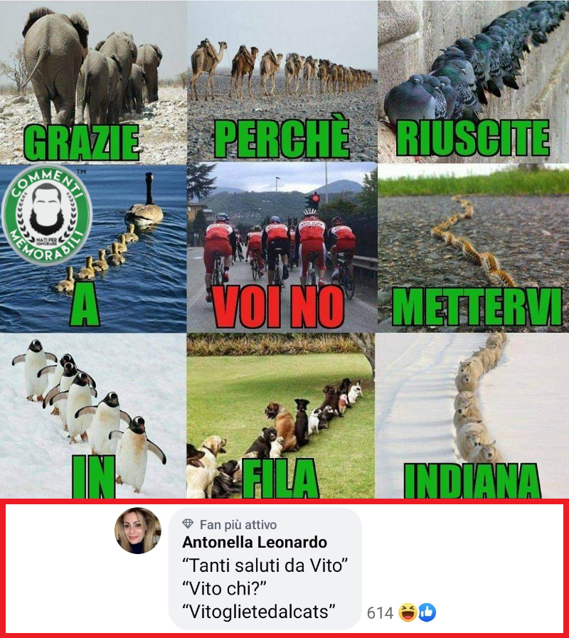 CM_Memorabili's tweet image. Grazie davvero. #commentimemorabili #filaindiana #ringraziamenti