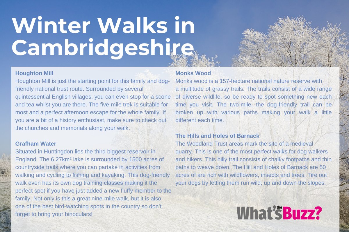 whatsthebuzzmag's tweet photo. The cold snap is back and it's the perfect time to explore the beautiful outdoors in Cambridgeshire! 
Read the full article on our website here... https://t.co/eim6ZBjw5S

#whatsthebuzz #cambridgeshire #getoutdoors #winter... https://t.co/bCPNDWUNfD
