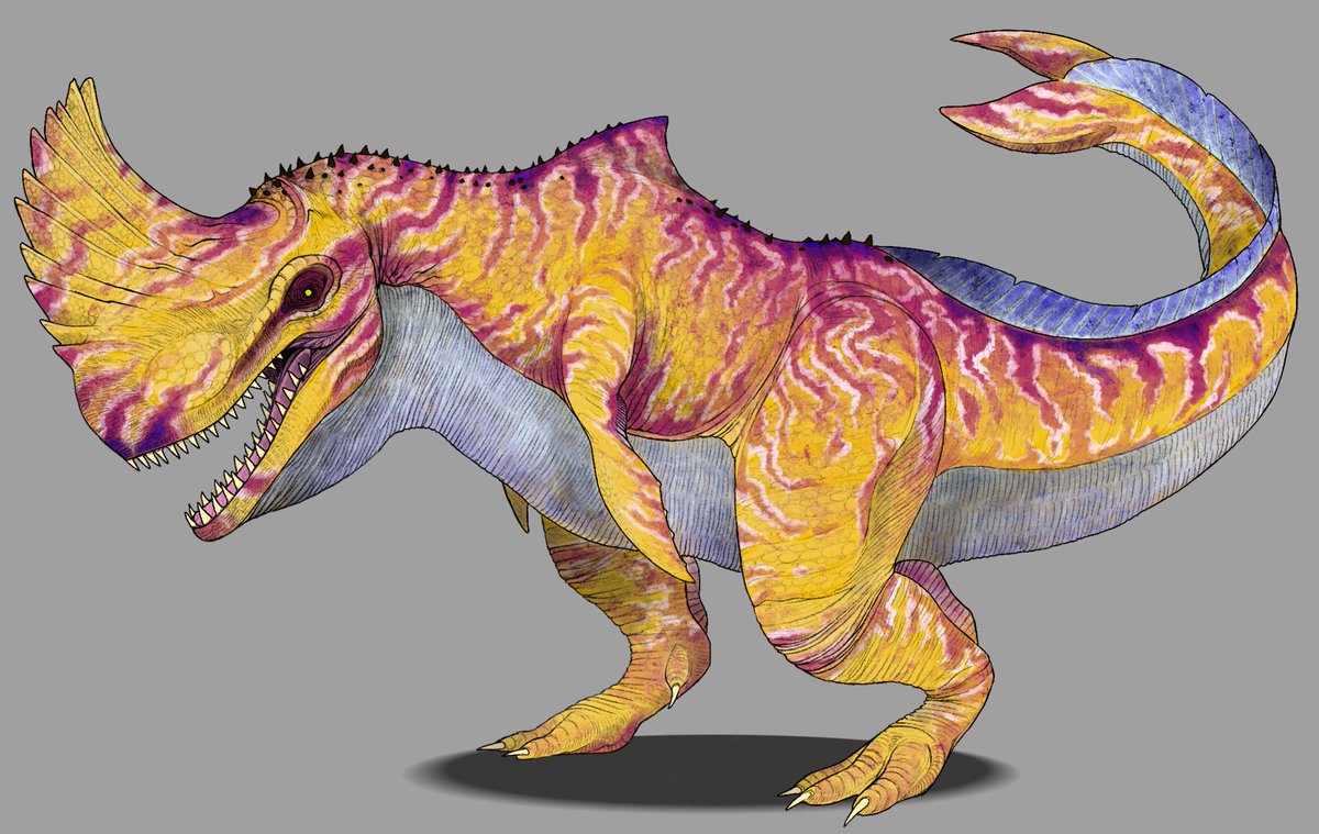 storm_spino's tweet photo. Some JWTG/JWA hybrids I made last year https://t.co/qkQg74bRKf