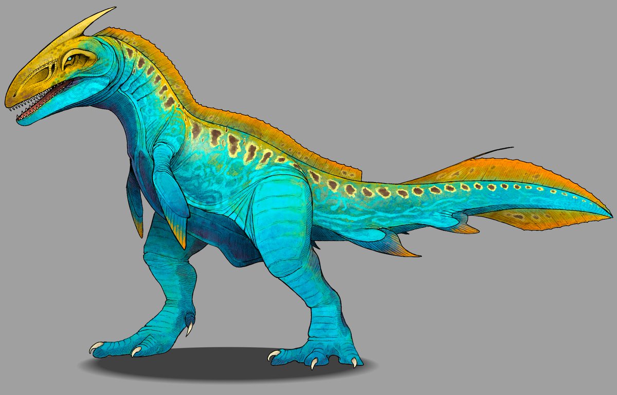 storm_spino's tweet photo. Some JWTG/JWA hybrids I made last year https://t.co/qkQg74bRKf