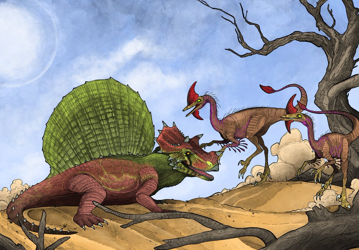 storm_spino's tweet photo. Some JWTG/JWA hybrids I made last year https://t.co/qkQg74bRKf