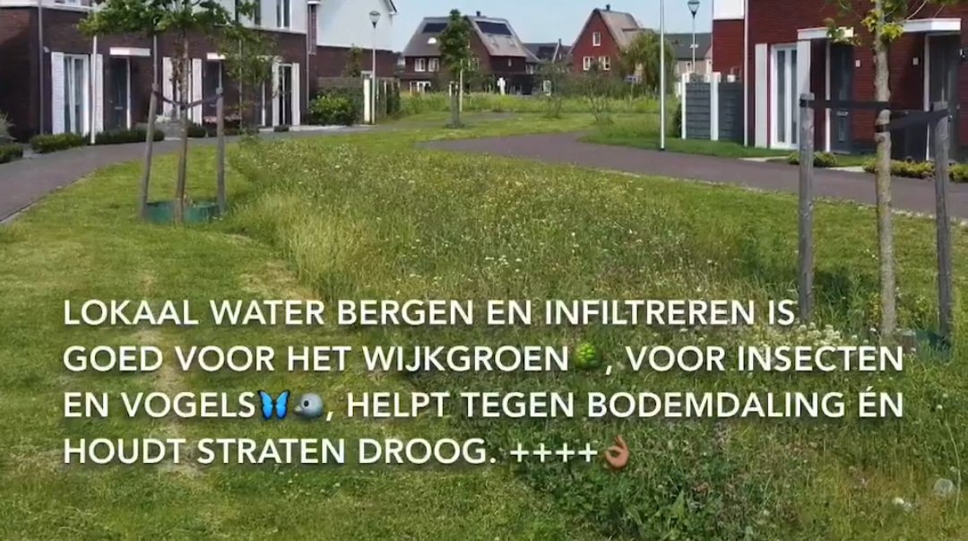 Nanda Sluijsmans tweet media