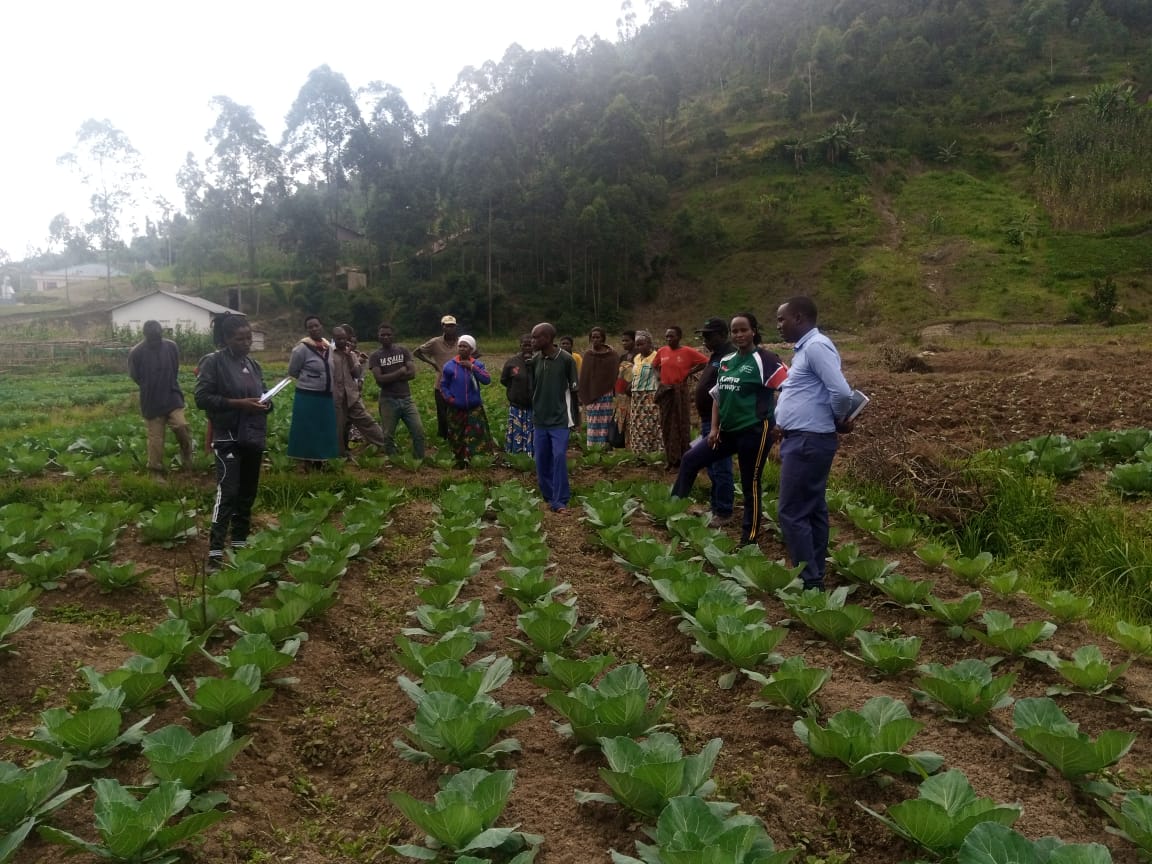 FAO in Rwanda on Twitter: