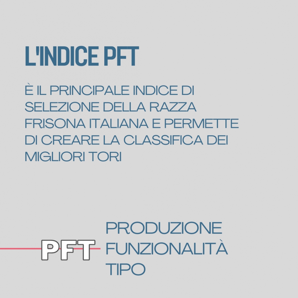 Intermizoo's tweet photo. 🇮🇹 𝗟'𝗶𝗻𝗱𝗶𝗰𝗲 𝗣𝗙𝗧🇮🇹
⭐ Intermizoo inaugura il nuovo blog BULLFEED con un nuovo articolo sull'indice PFT, il principale indice di selezione Italiano⭐
  
👇 Clicca qui per leggere l'articolo completo
 https://t.co/hfJafiW0rK https://t.co/TAv2QjsBQf