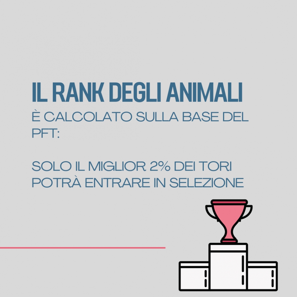 Intermizoo's tweet photo. 🇮🇹 𝗟'𝗶𝗻𝗱𝗶𝗰𝗲 𝗣𝗙𝗧🇮🇹
⭐ Intermizoo inaugura il nuovo blog BULLFEED con un nuovo articolo sull'indice PFT, il principale indice di selezione Italiano⭐
  
👇 Clicca qui per leggere l'articolo completo
 https://t.co/hfJafiW0rK https://t.co/TAv2QjsBQf