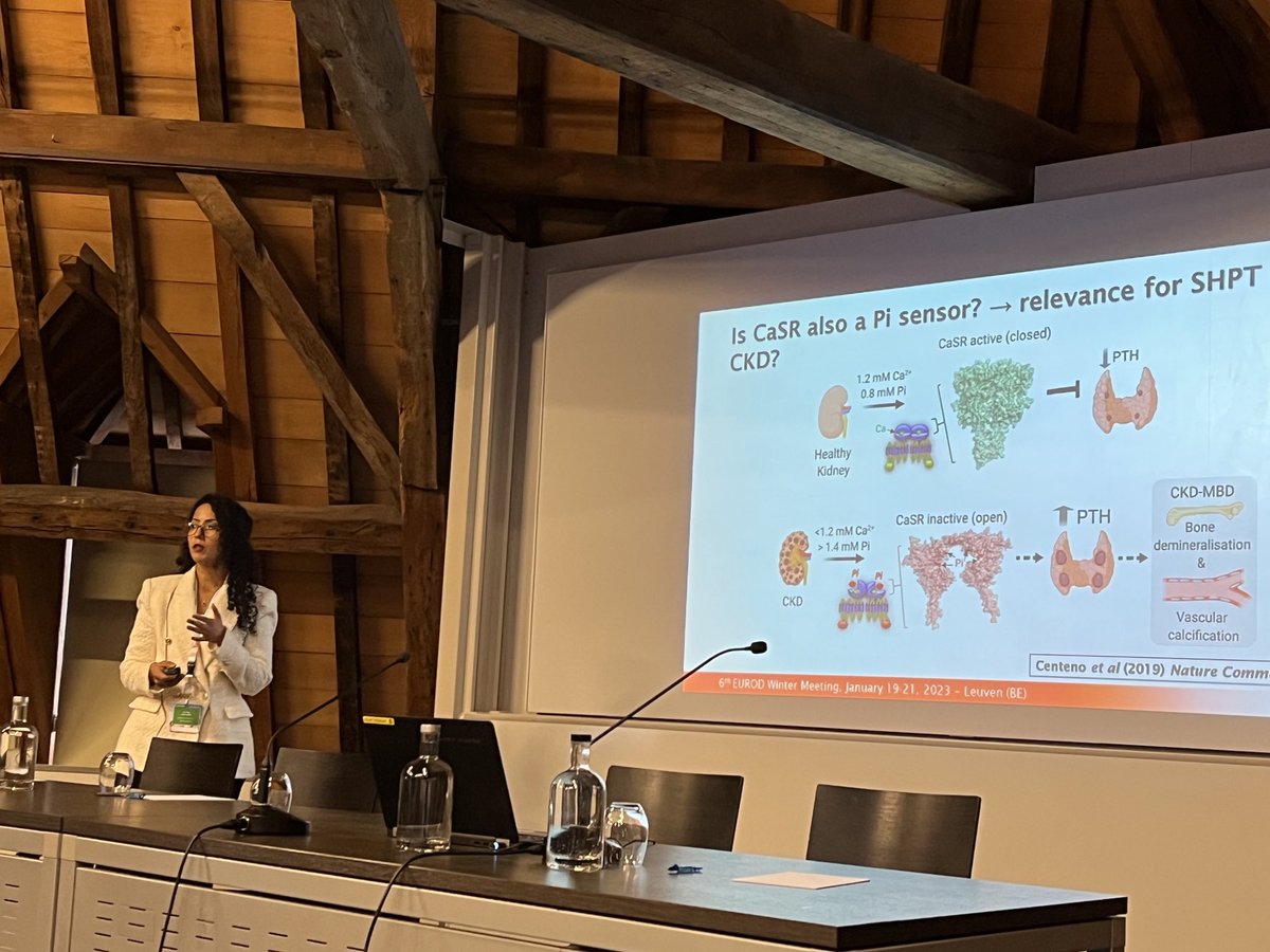 hanne_skou's tweet photo. #EUROD Winter Meeting - Research Forum with excellent young investigators presenting. ⁦@EvenepoelPieter⁩ ⁦@mjlloretcora⁩ ⁦@ERAkidney⁩ ⁦@ynptweets⁩ https://t.co/x5E4RRBQaF