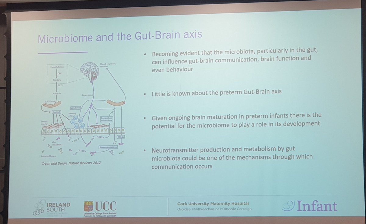 NPEC_UCC's tweet photo. There is a lot more to learn on how to optimise the management of the #preterminfant.
Much more is being done to fully understand how to best address adverse outcomes of infants.
#neonataloutcomes
#fetalcare
#NPEC23 https://t.co/plThLq4JaQ